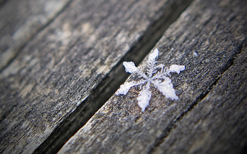 snow flake, winter, flake, macro, snow HD wallpaper