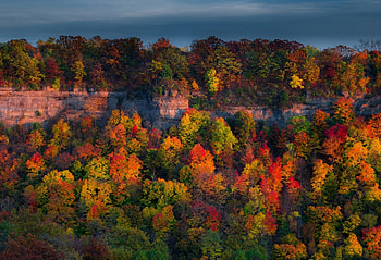 Autumn's Shadows, Twilight, Trees, Fall, Nature, Autumn, Shadows, Sky HD wallpaper