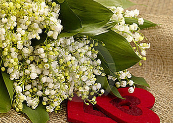 from the heart , still life, valley, hearts, flowers, lily HD wallpaper