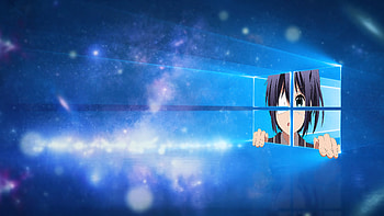 Nature Windows 10 HD wallpaper
