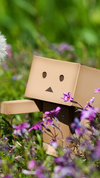 Cute Summer, Danbo, Flowers Garden HD phone wallpaper