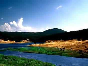 clean,clear, river, clear, clean HD wallpaper