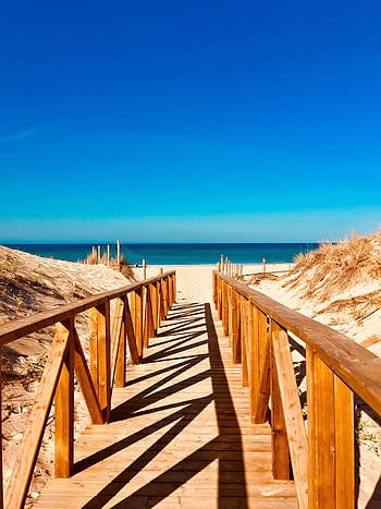 Wooden dock, sea, beach, sunny day HD phone wallpaper