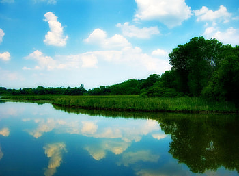 Reflection, blue, plants, silent, colors, wonderful, beauty, background, trees, , water, tranquility, white, landscape, beautiful, grass, spots, green, clouds, nature, sky HD wallpaper