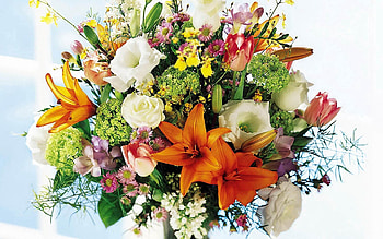 Flowers, Roses, Lilies, Shine, Light, Bouquet, Window HD wallpaper