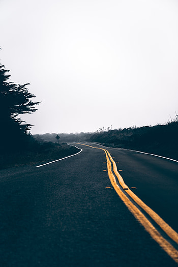 Nature, Road, Turn, Markup, Asphalt HD phone wallpaper