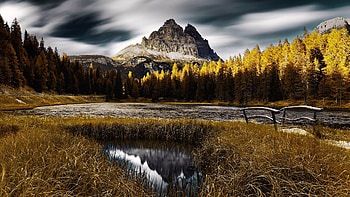 Autumn in the Dolomites, Italy, forest, rocks, alps, fall, trees, colors HD wallpaper