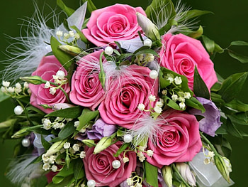 Lovely bouquet, bouquet, plants, petals, blossoms, nature, flowers, blooms, lovely HD wallpaper