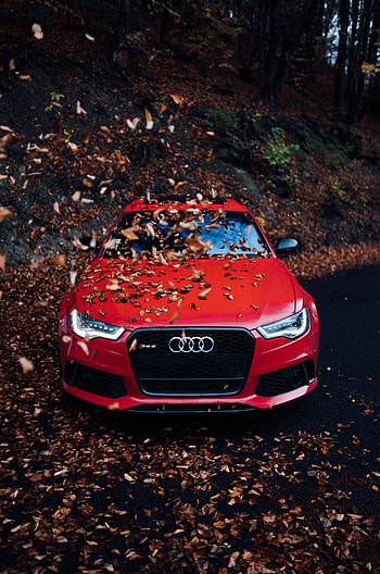 Cars, Autumn, Audi, Car, Front View, Foliage, Bumper HD phone wallpaper