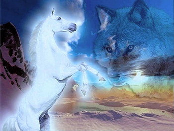 Fantasy horse and wolf, sand, fantasy, art, landscape, white horse, wolf, rock HD wallpaper