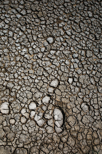 Texture, Textures, Surface, Earth, Land, Dry, Cracks, Crack, Drought HD phone wallpaper