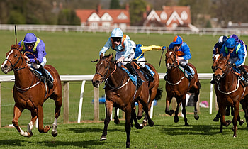 Ascot Racecourse, Equestrian Sports HD wallpaper