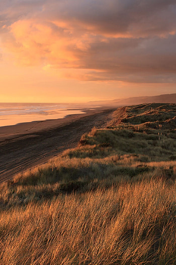 Moody nature, New Zealand landscape, Port Waikato, Nature graphy HD phone wallpaper