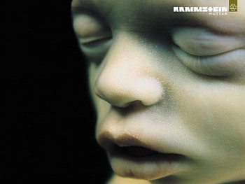 Rammstein (Mutter), album, music, mutter, rammstein, cover, band HD wallpaper