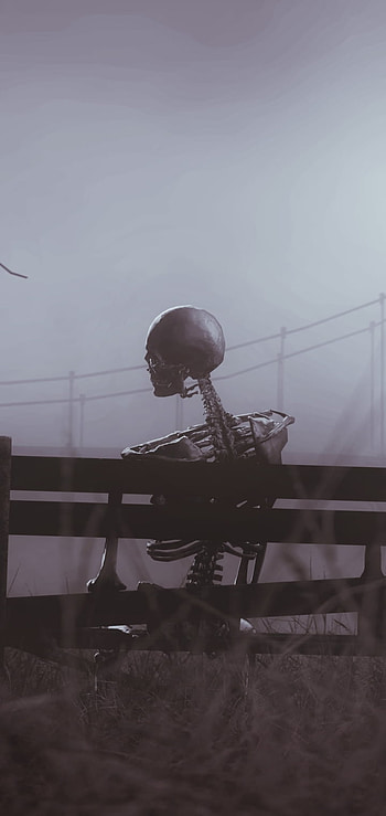 Midnight Ossuary | Bench of Bones | Twilight Reverie | Nocturnal Skull | Eternal Pause, dark, skeleton HD phone wallpaper