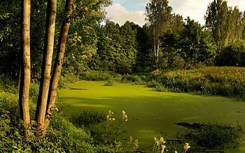 Landscape, Nature HD wallpaper