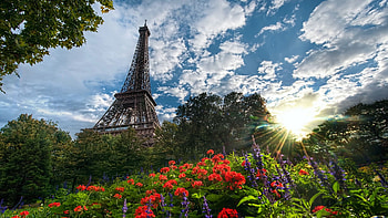 Summer in Paris, blossoms, park, eiffel tower, landscape, clouds, trees, sky HD wallpaper