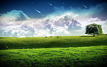 Landscape, Grass, Sky, Art HD wallpaper