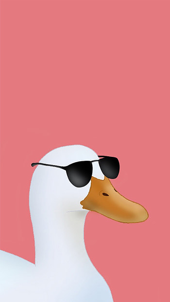 Duck with sunglasses, cool, animal, funny HD phone wallpaper