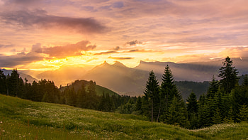 Landscape, Nature, Trees, Sunset, Mountains, Lawn HD wallpaper