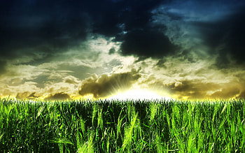 Best nature . HD wallpaper