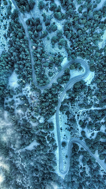 Tops, Nature, Trees, View From Above, Top, Road, Winding, Sinuous HD phone wallpaper