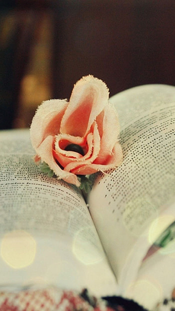 Literature , Classic, Backgrounds, Literature HD phone wallpaper