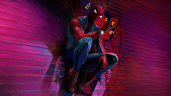 Twilight Spider Punk, spider-punk, spiderman, superheroes, artist, artwork, digital-art HD wallpaper