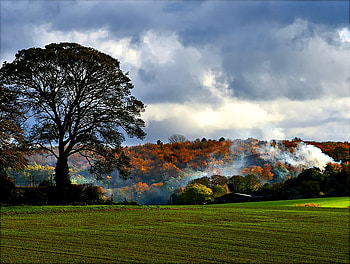 Autumn bonfire, blue, bonfire, colors, sesons, orange, tree, green, smoke, fields, clouds, autumn, nature, sky, places HD wallpaper