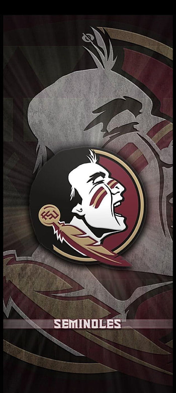FSU, sports HD phone wallpaper