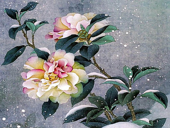 Winter Flowers, winter, white, snowy, colors, pink, leaves, painting, petals, flower, snow, green, yellow, ze HD wallpaper