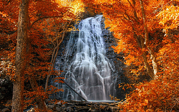Rocks waterfall in autumn, golden, fall, beautiful, rocks, waterfall, cascades, trees, autumn, foliage HD wallpaper
