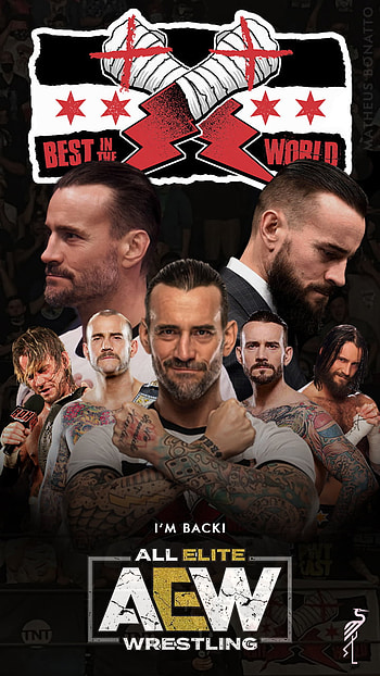 Cm Punk, aew, WWE HD phone wallpaper