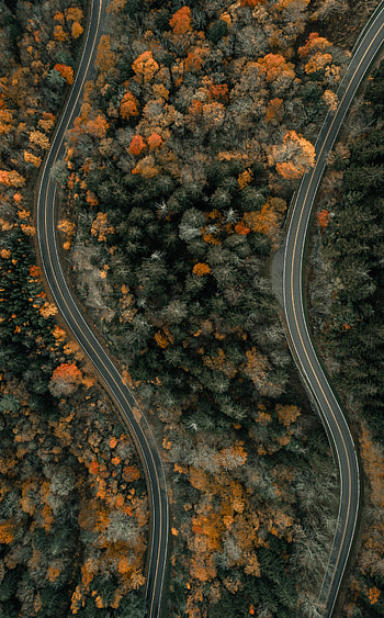 Nature, Trees, View From Above, Road, Overview, Review HD phone wallpaper