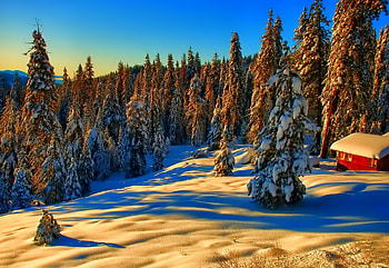 Winter Valley, trees, sunshine, snow, cabin HD wallpaper