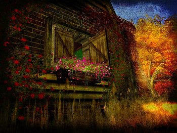 Painting beauty, summer, abstract, painting, window, 3d, colors, flowers, beauty HD wallpaper