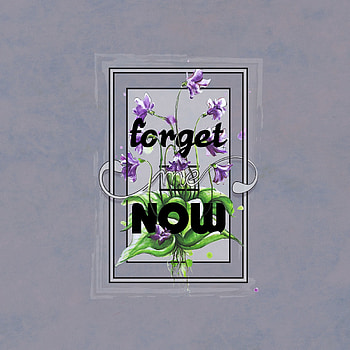 Flowers, Art, Words, Inscription, Forget HD phone wallpaper