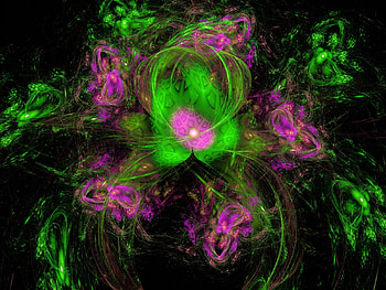 Pretty, pink, fractal, abstract, green HD wallpaper