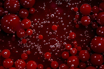 Red fruits, bubbles HD wallpaper
