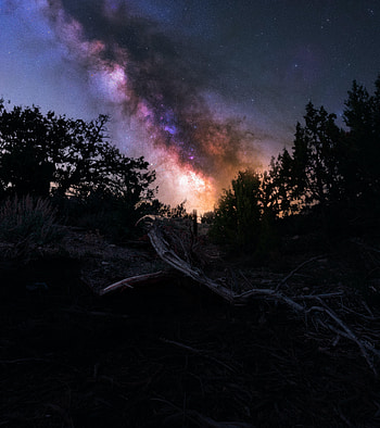 Nature, Trees, Universe, Night, Nebula HD phone wallpaper