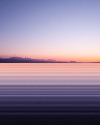 Nature, Twilight, Lake, Shore, Bank, Bird, Long Exposure, Dusk HD phone wallpaper