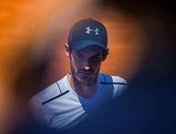 Andy Murray, tennis, player, celebrity, sports HD wallpaper