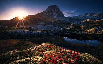 Lost Mountain, Georgia, landscape, clouds, flowers, sky, sun, rocks, sunset, usa HD wallpaper
