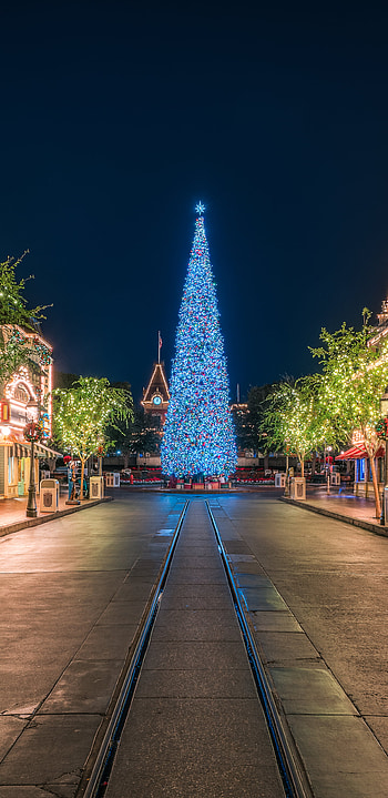 Disney, , Disneyland, Square, Christmas Tree, Christmas, California, Light HD phone wallpaper