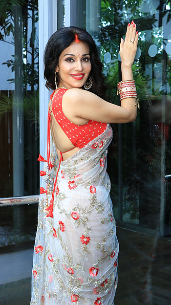 Flora Saini, saree lover, sexy seductive HD phone wallpaper
