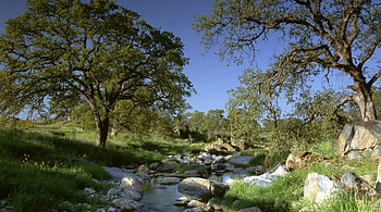 field, river, nature, fun HD wallpaper