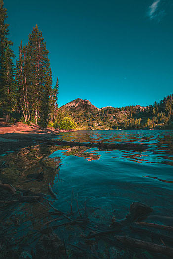 Landscape, Nature, Trees, Mountains, Lake, Spruce, Fir HD phone wallpaper