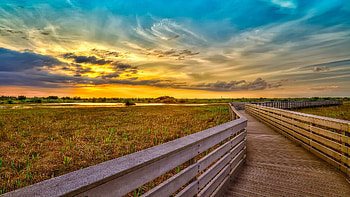 Sunset, blue, colorful, colors, peaceful, beauty, path, beautiful, grass, wood, pretty, field, green, yellow, view, fields, clouds, nature, sky, lovely, splendor HD wallpaper