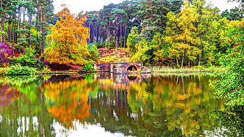 autumn lake, autumn, water, lake, reflections, tree HD wallpaper