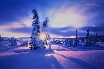 Sunrise, dawn, trees, sun, snow HD wallpaper